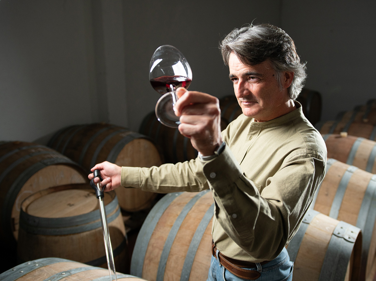 Los Vinos Bonitos-Edición 2022